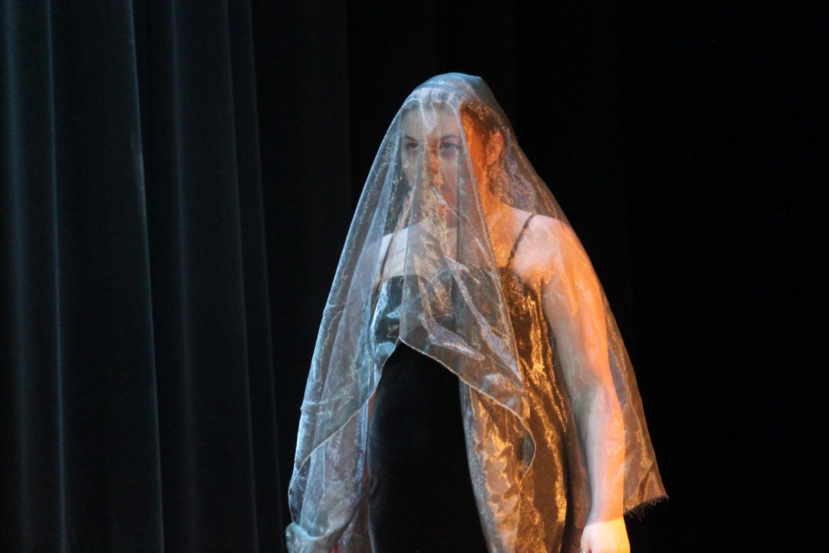 A girl stands in front of a dark curtain with a shiny semi-transparent cloth over her face.