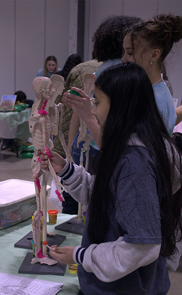 Kriti Sah applying Play-Doh to the skeleton.