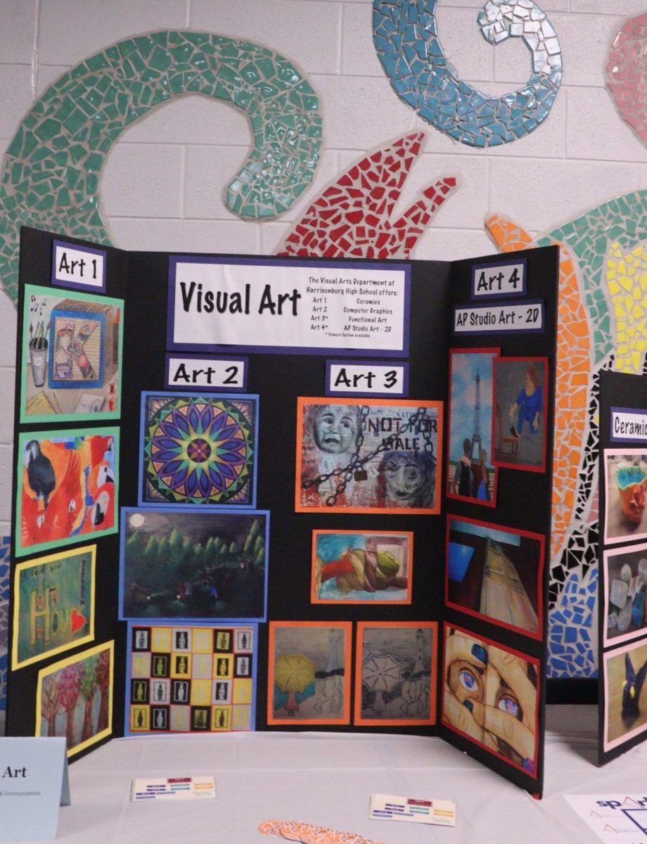 The visual arts poster created by students.