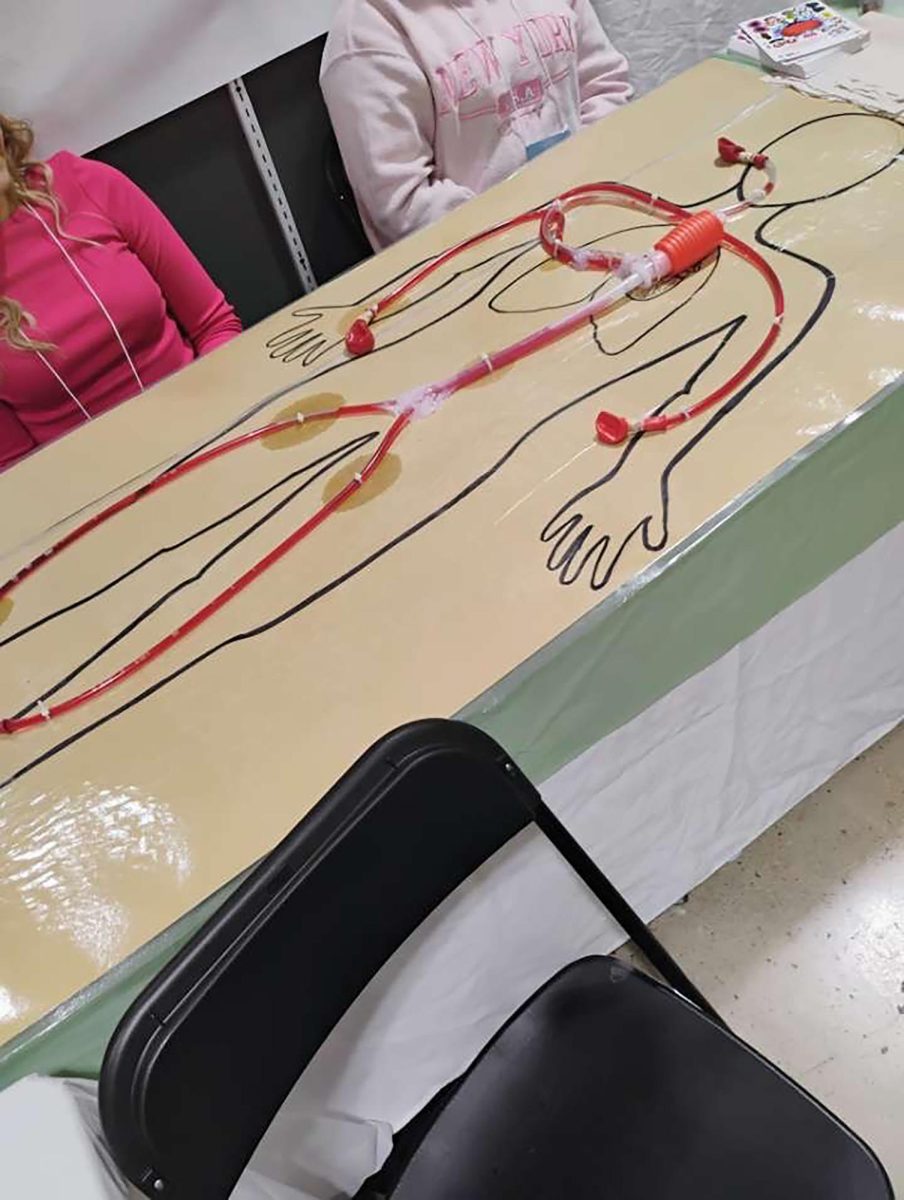 Another Angle of a human anatomy poster.