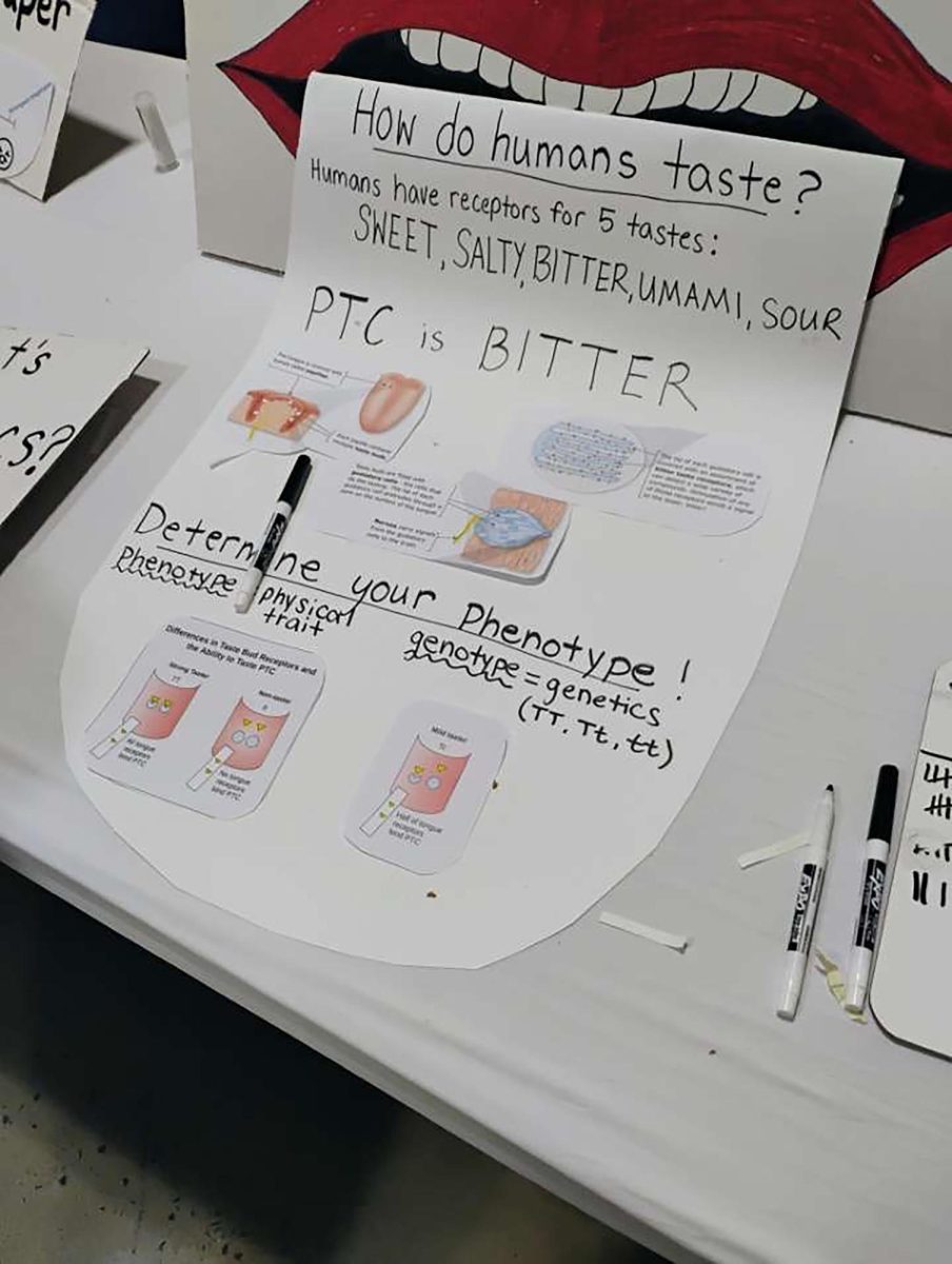 Taste Station explanation. Describing how the human body tastes.