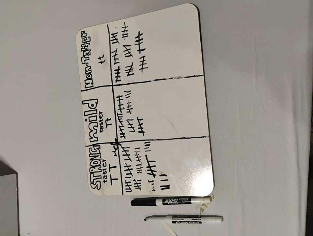 Close up of a whiteboard with from the taste station, recording data on how many people can taste certain foods.