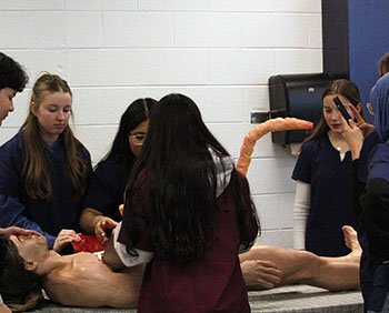 Students open up the dummy doll 