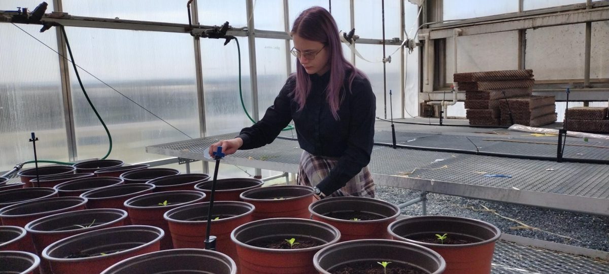 Senior Adeline McLeod pouring  water into one of her plants.