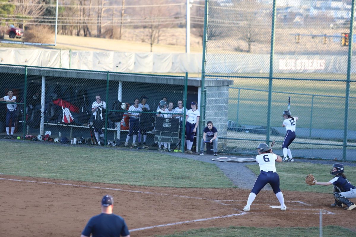 Senior Kayli Alvarado prepares to bat the ball. 