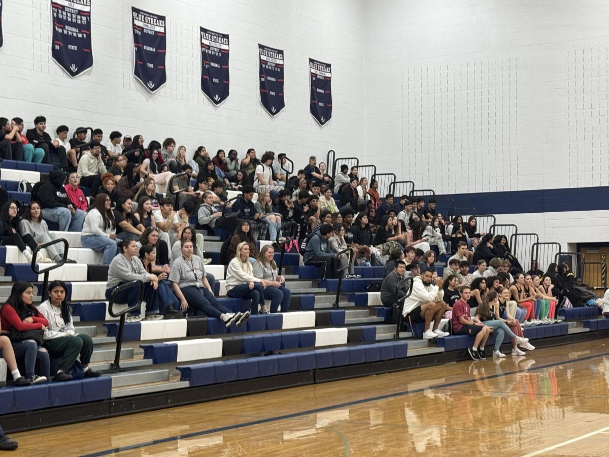 Senior class watching the competitive games during the spring pep rally.