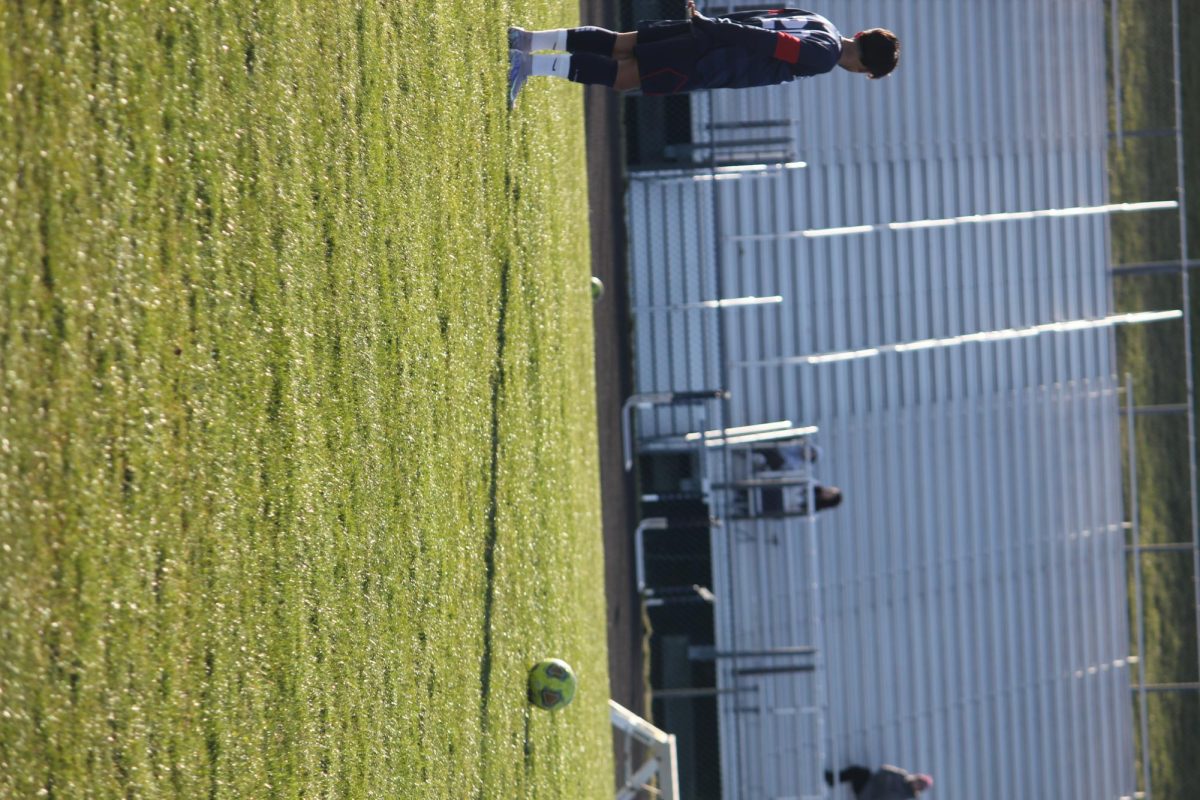 IMG_0028