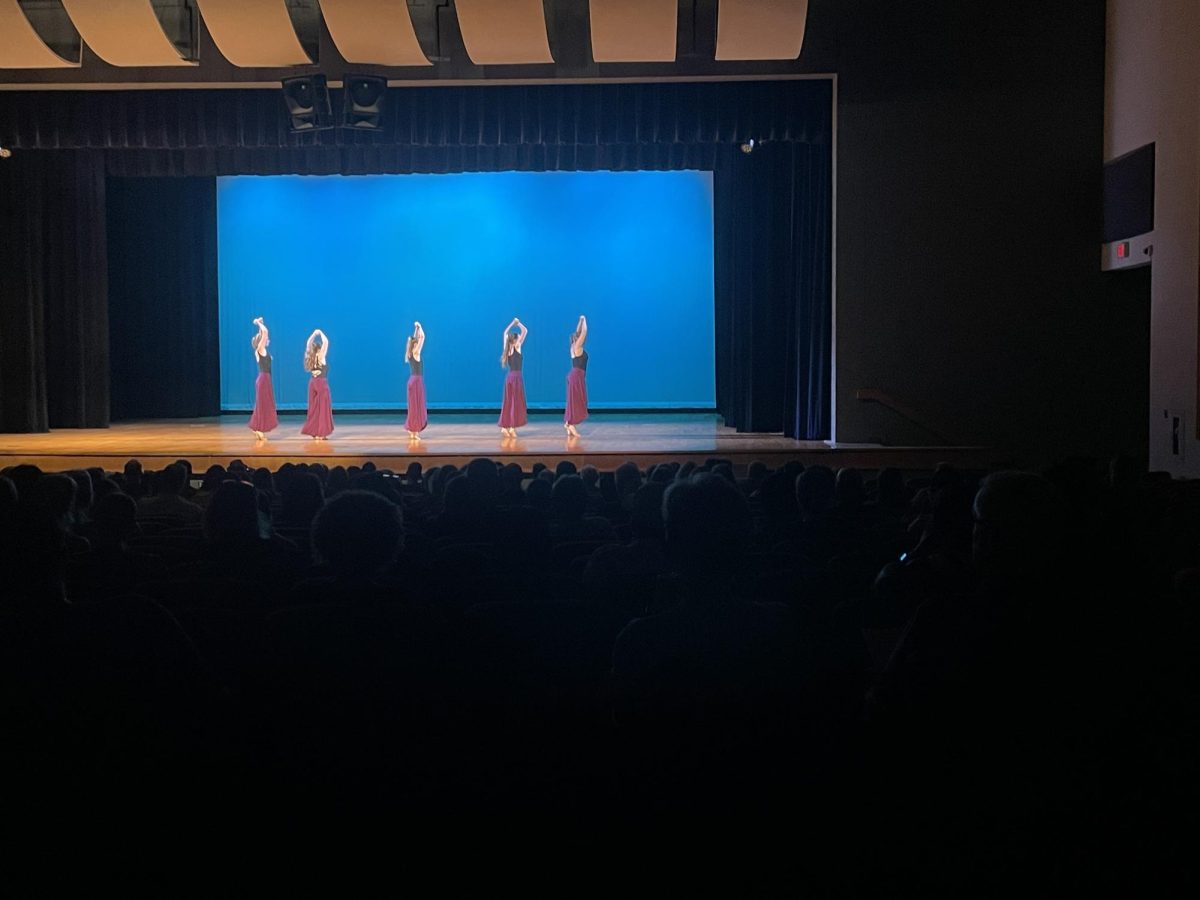 Group performs dance
