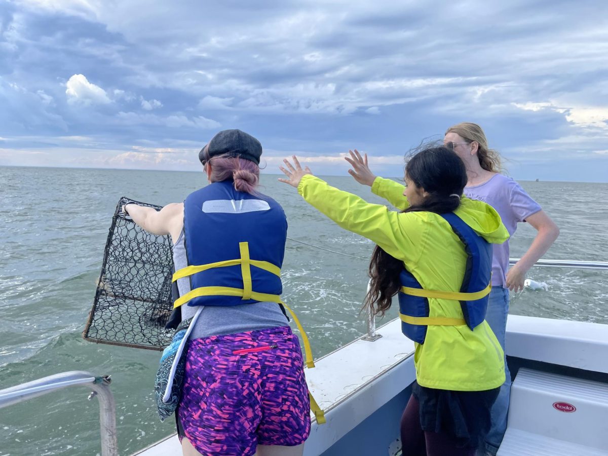 Students release their crab trap in hopes to catch crabs. 