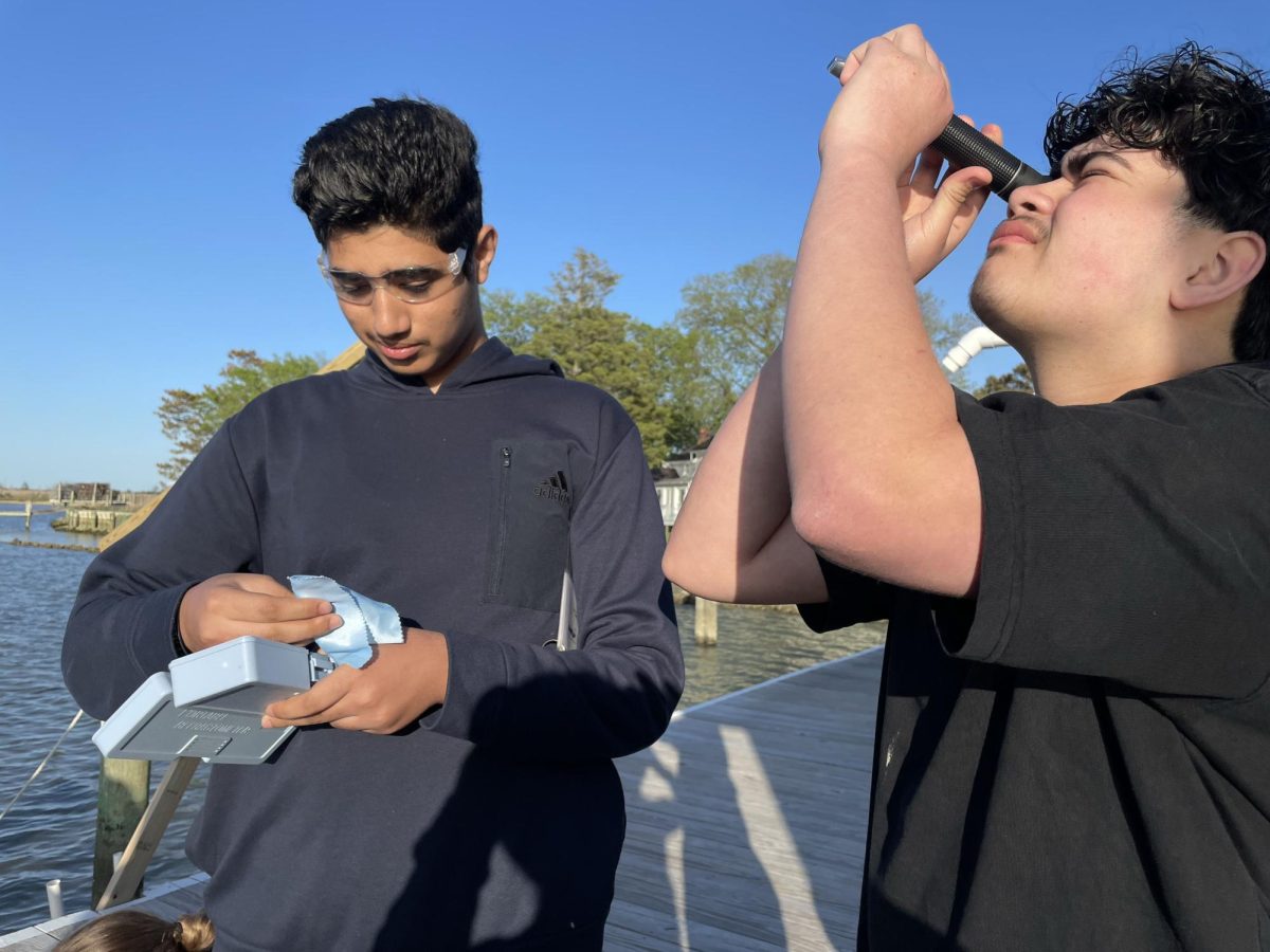 Sophomores Mohammed Al Mtawa and Joshua Munoz-Murillo experiment with ph scales. 
