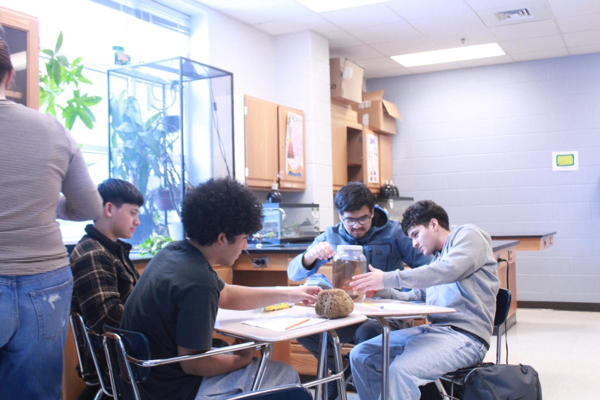 The class examines some examples.