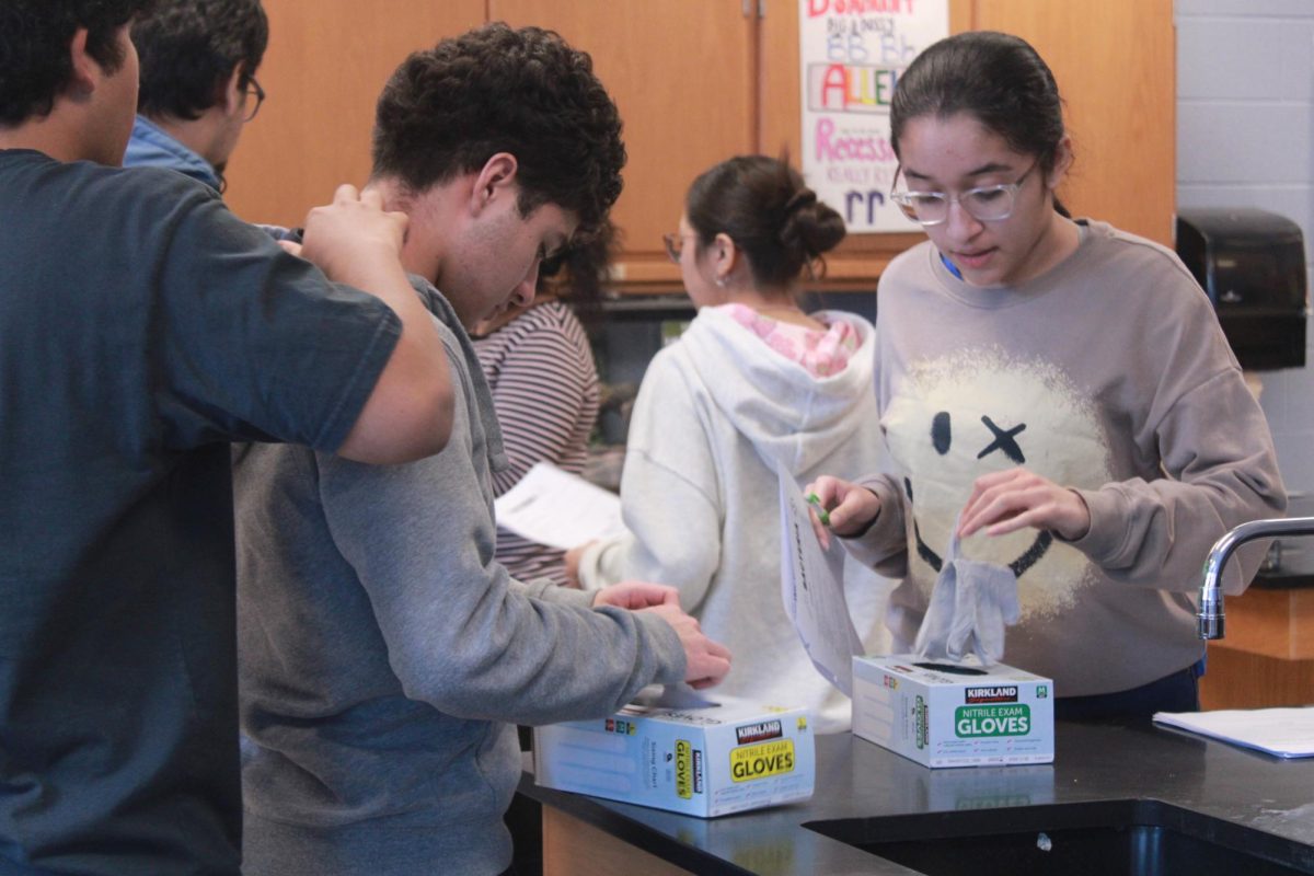 Students prepare for the lab.