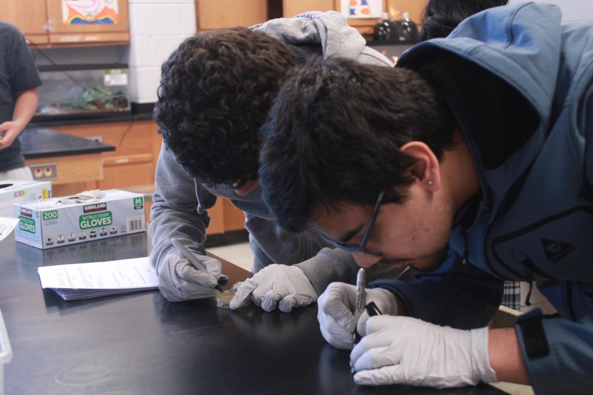 Students label petri dishes with names and class blocks.