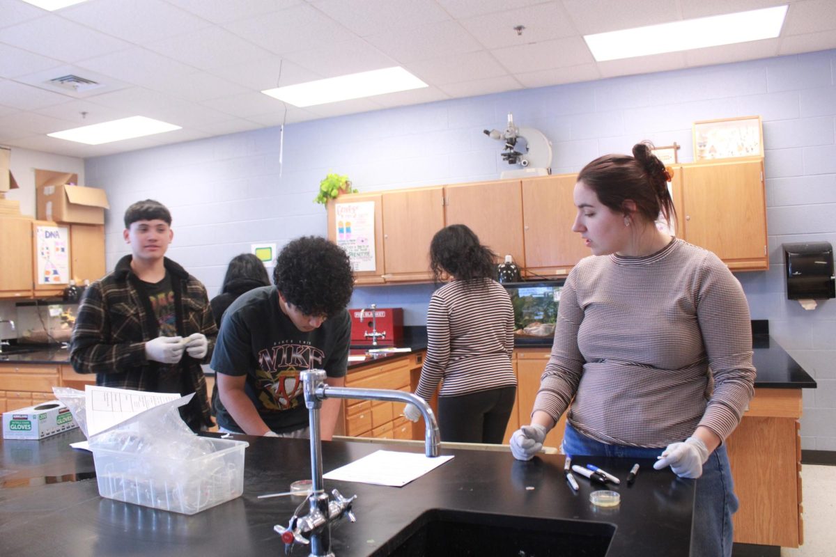 Anna Henkel helps students during the lab.