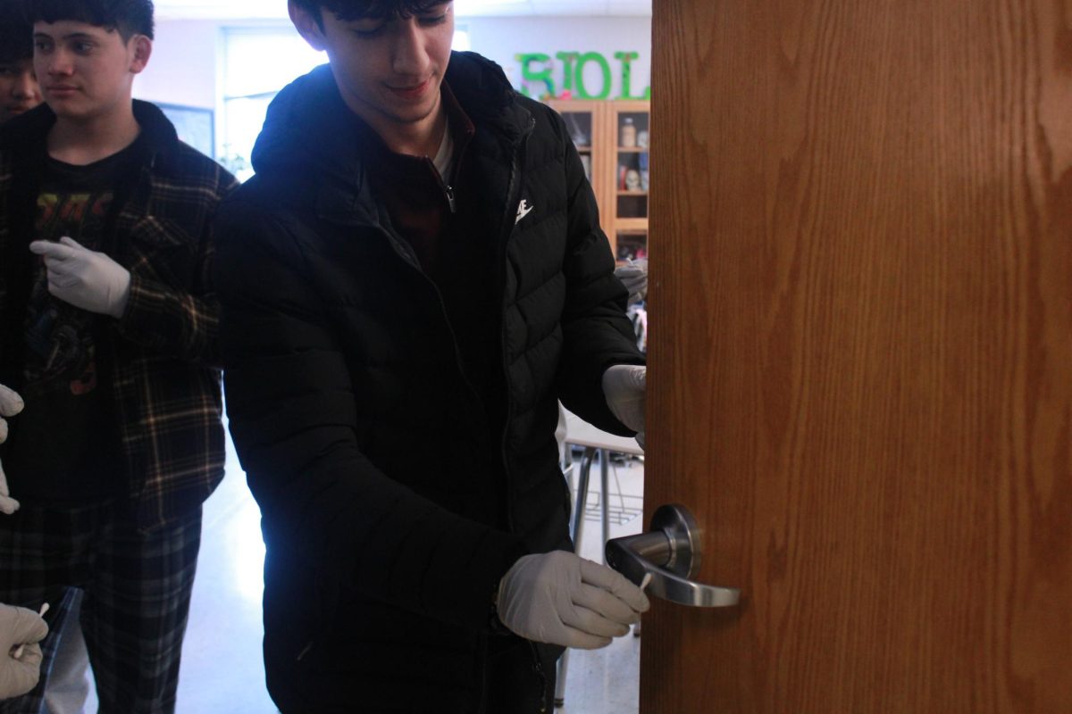 Students swab surfaces to collect bacteria samples for their petri dish.